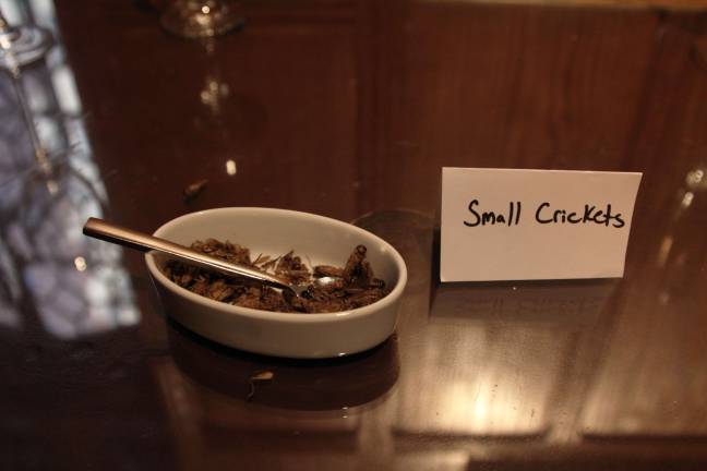 Among the dishes served at &quot;Crickets and Cocktails&quot; were dried flying termites, sago grubs and varieties of crickets.&#xa0;Photo: Nomin Ujiyediin.