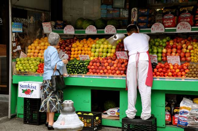 in search of a small business solution News