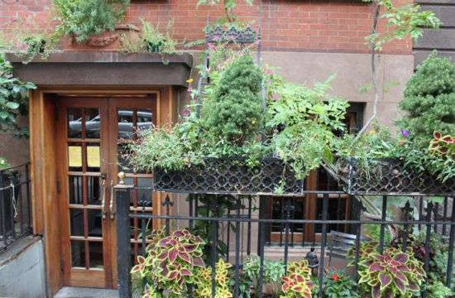 West Village Bistro Serves Up a Health Scare